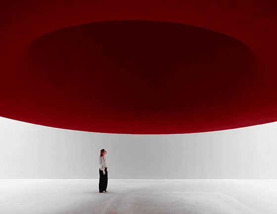 Anish Kapoor