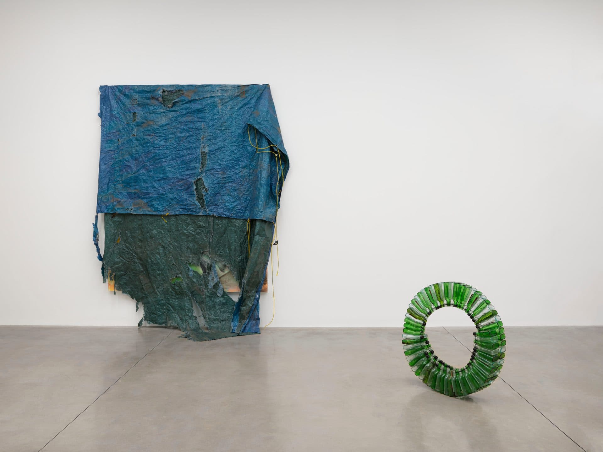 David Hammons & Jannis Kounellis — David Hammons & Jannis Kounellis — image 4 of 8