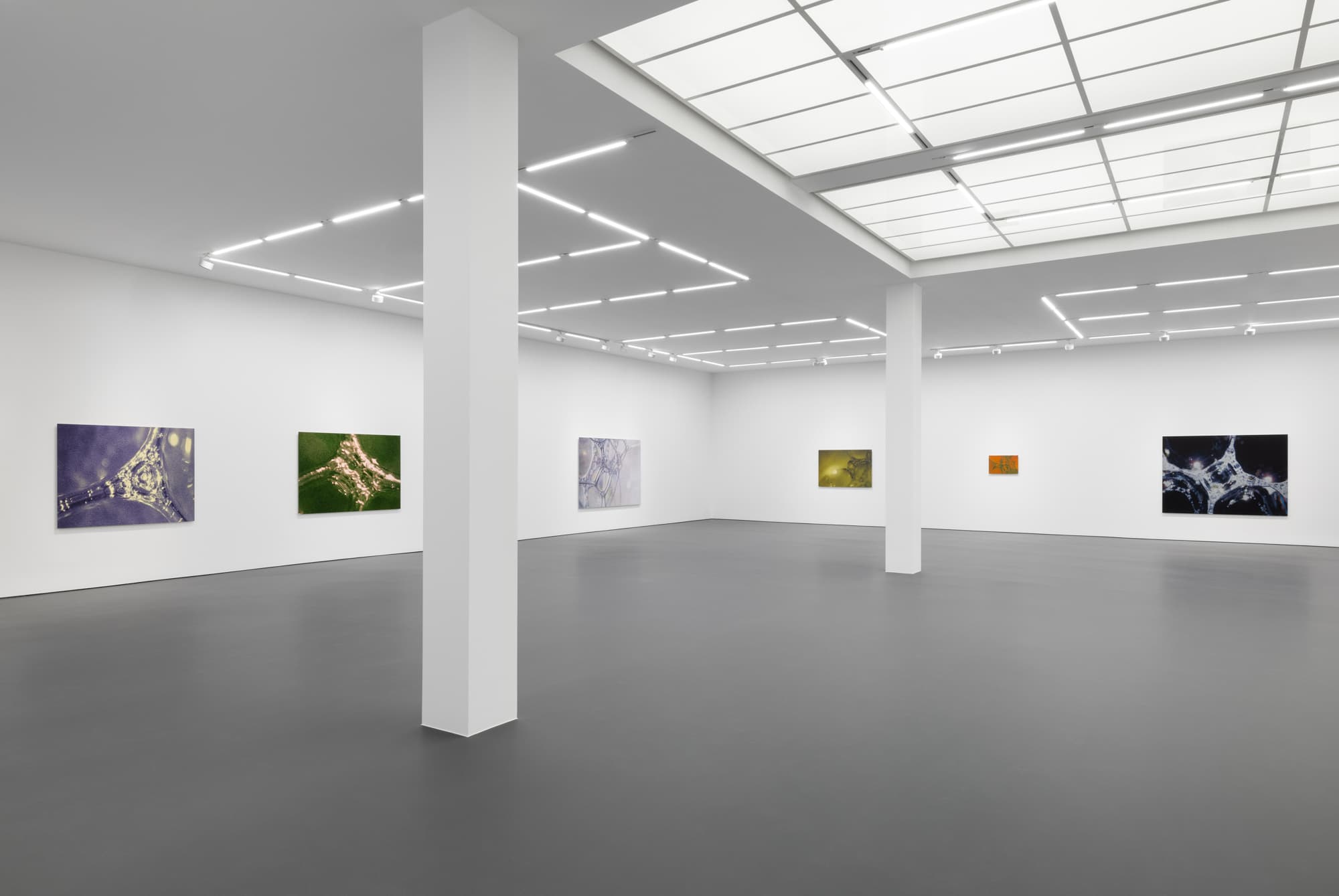 Tauba Auerbach — Easy Assembly — image 1 of 8