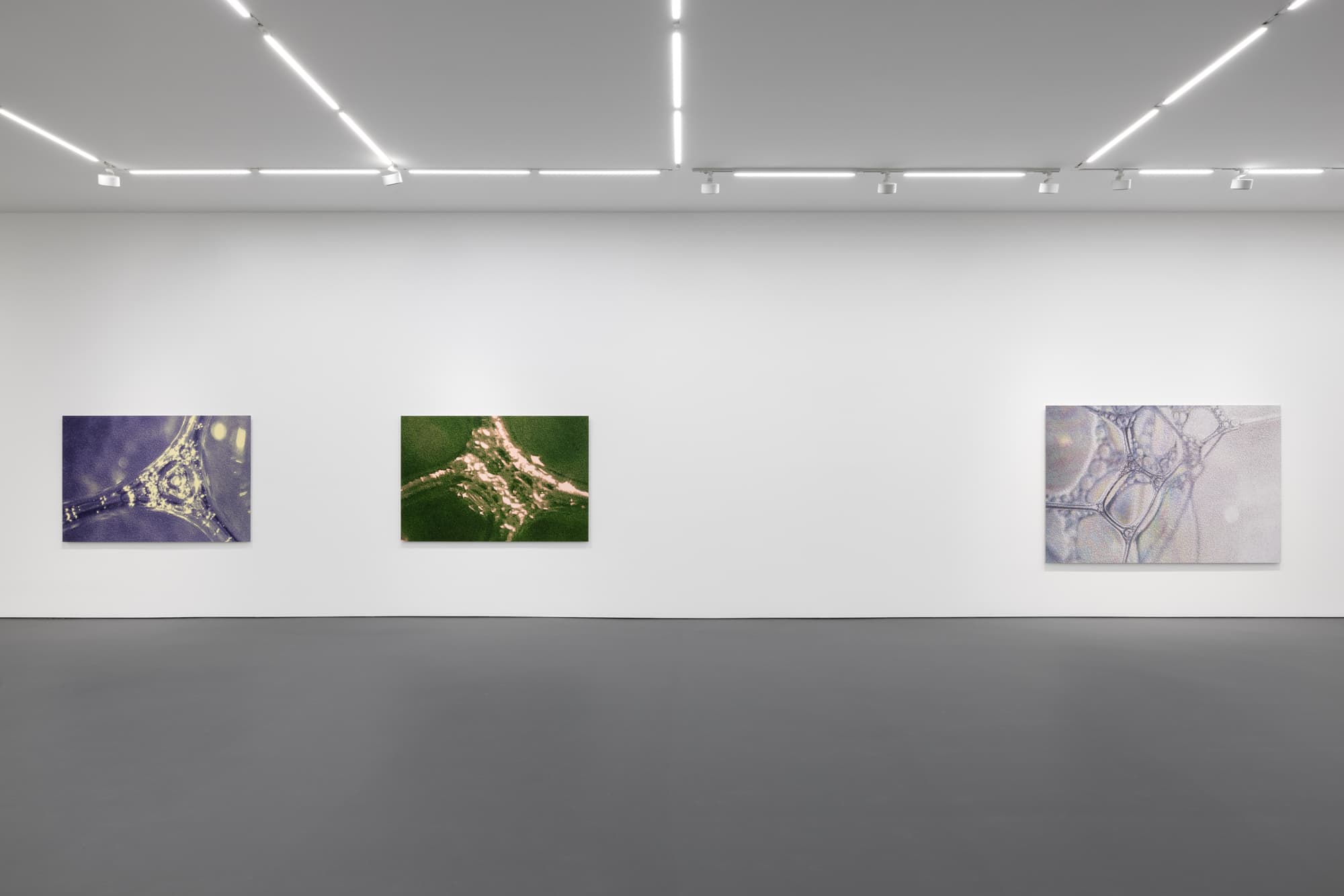 Tauba Auerbach — Easy Assembly — image 3 of 8