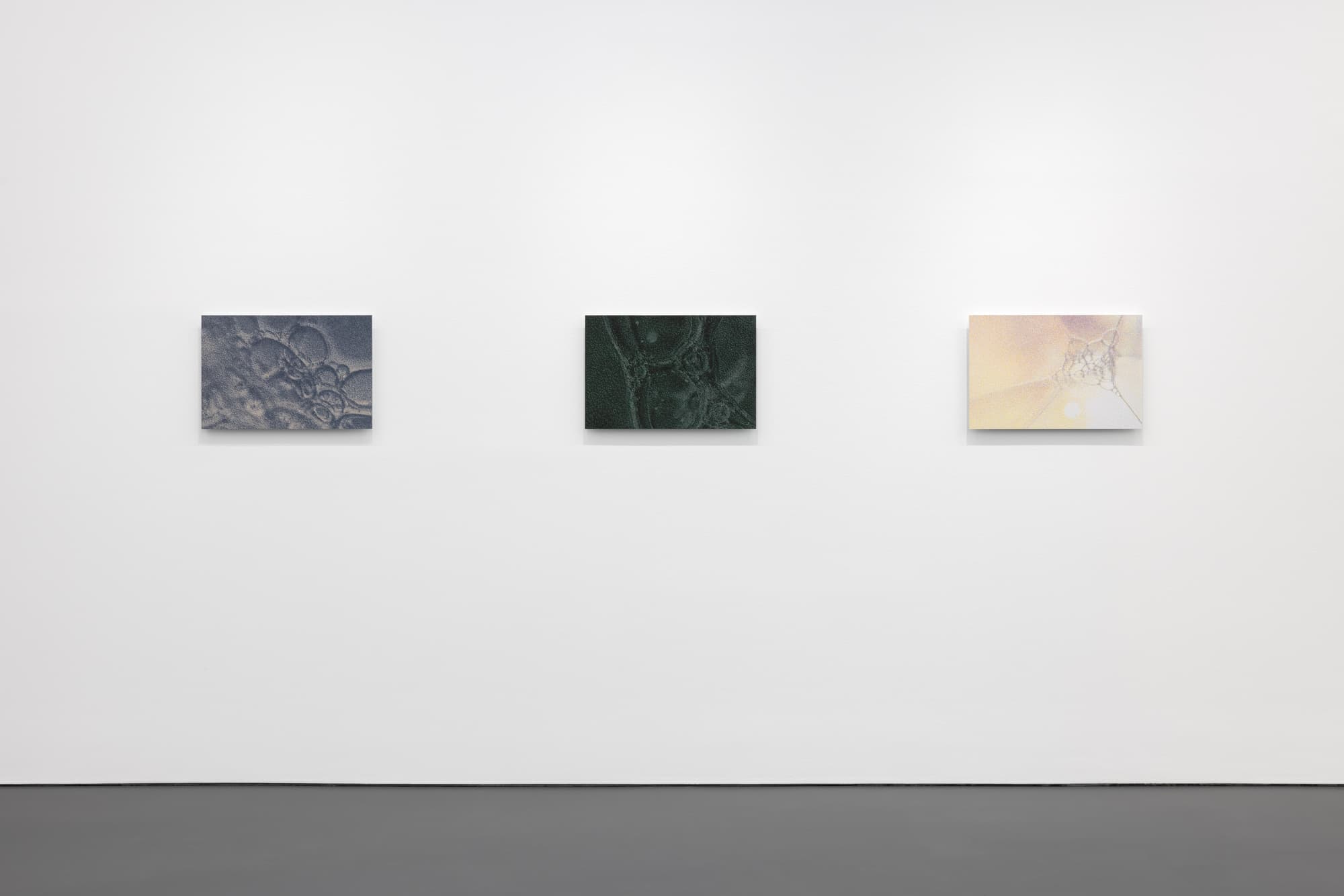 Tauba Auerbach — Easy Assembly — image 8 of 8