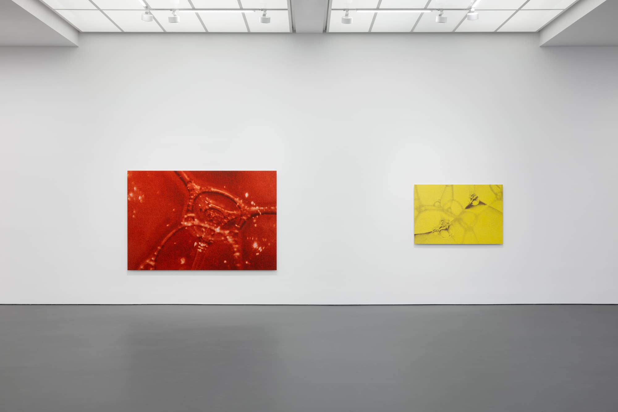 Tauba Auerbach — Easy Assembly — image 9 of 10