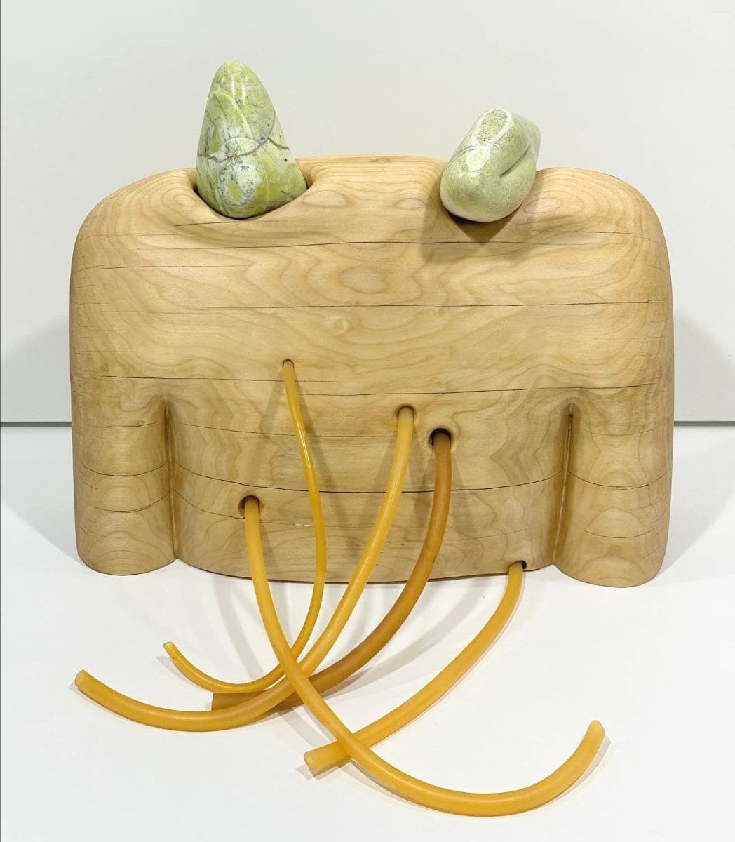 Angela Conant & Laura Frantz — The Beginning Before the Beginning — image 2 of 2