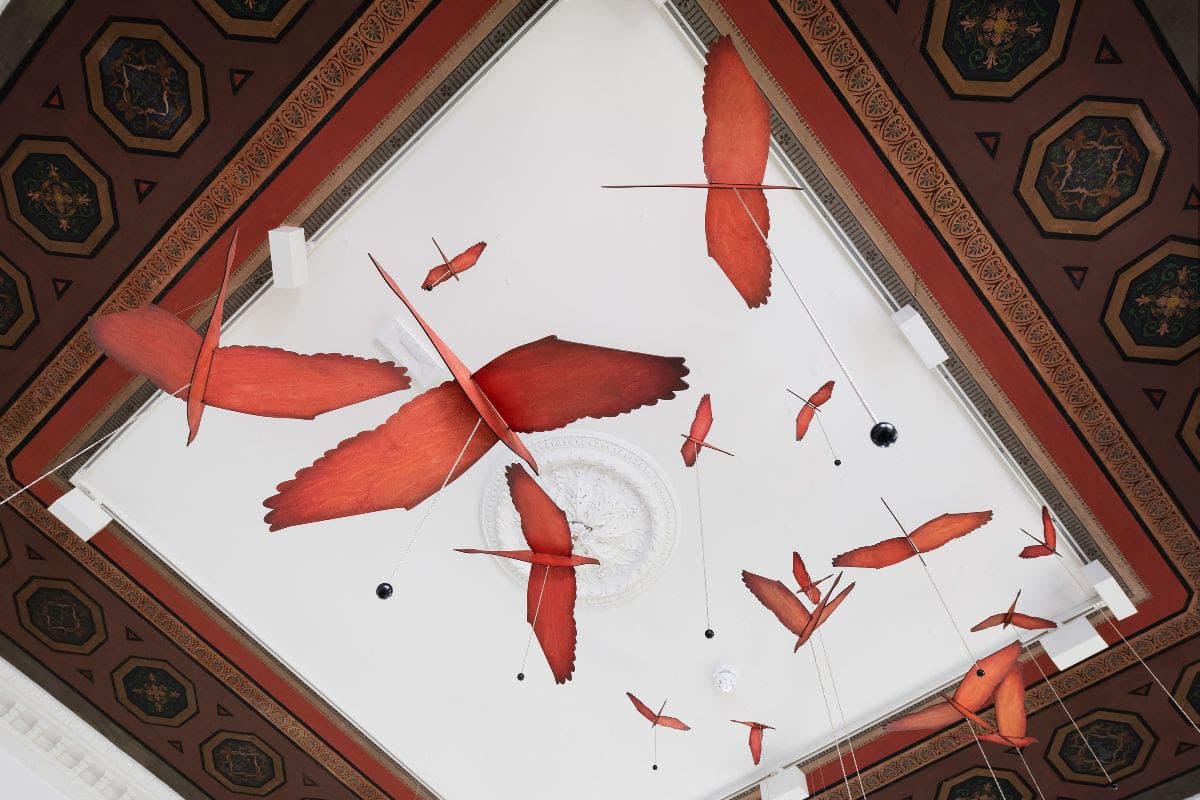 Camilla Steinum — Perception Spot — image 2 of 2