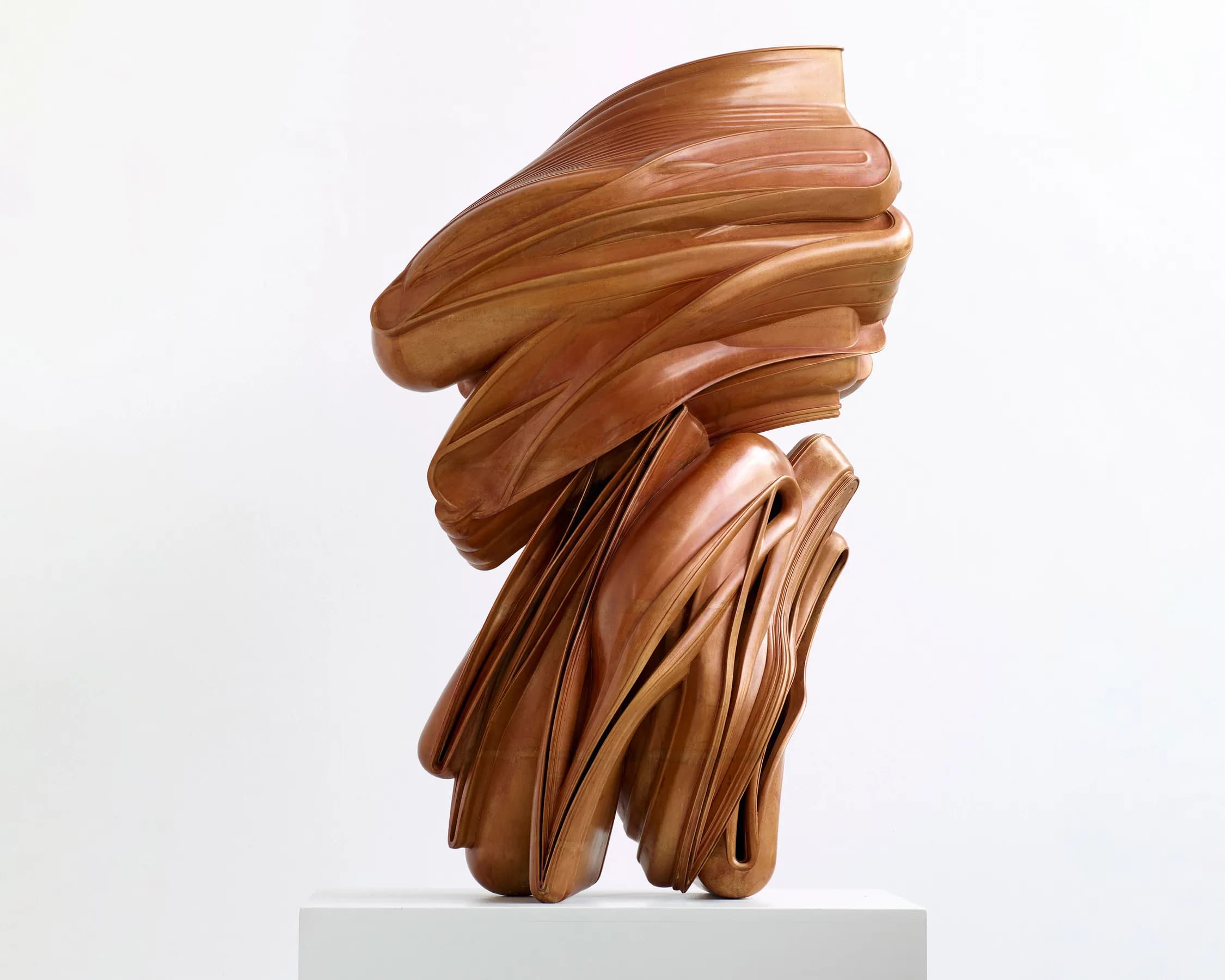 Tony Cragg — Tony Cragg