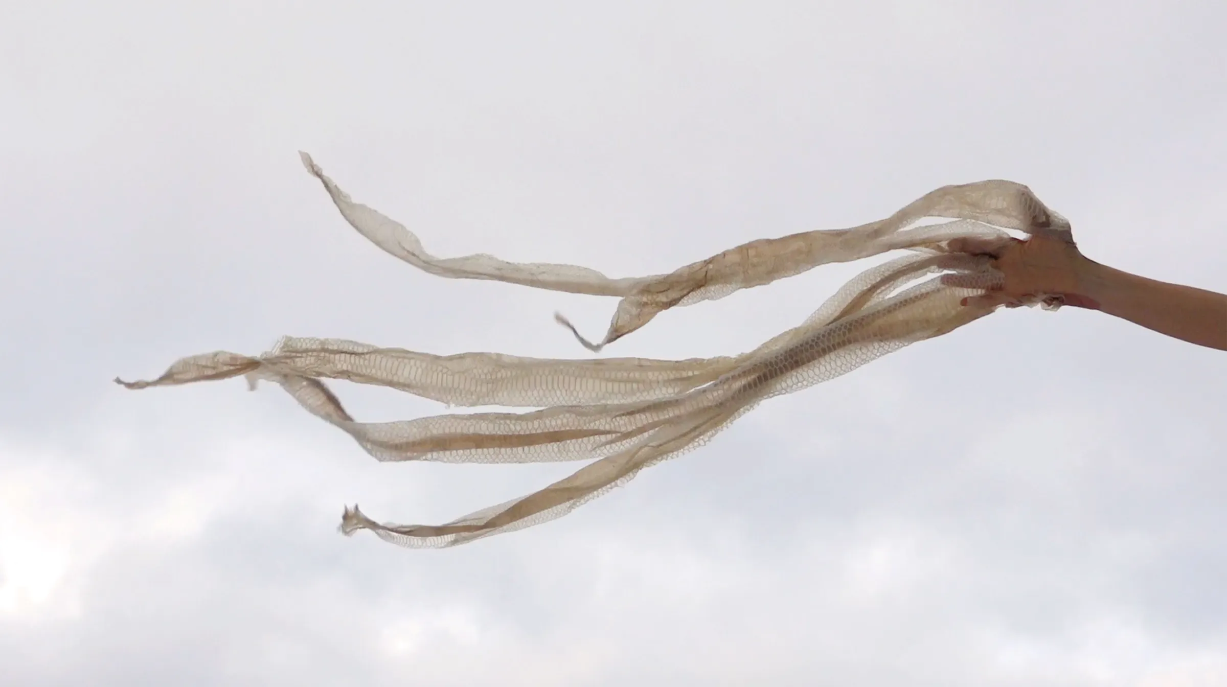Edith Dekyndt — Notes on What Is What